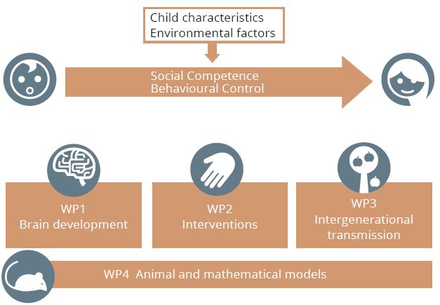How the environment and child characteristics affect the development of social competence and behavioural control.